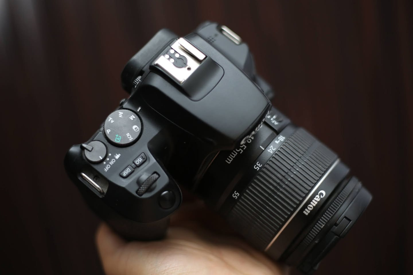 Canon 250d✨️
كاميرا كانون 250d لتصوير فديو برفيشنال💥
حاله نضيفه كسر زيرو مفهاش خربوش👍
شتر 1k يعني لسه أستعمال خفيف جدا👌
معاها كل مشتملاتها الأصليه✅️
_شاحن أوريجنال
_بطريه أوريجنال
_حزام جديد
_بوكس
_عدسه 18.55
يعني على الشغل على طول📷
وبسعر لقطه لسرعة البيع🔥
اللي محتاجها يكلمني وهقلو كل التفاصيل🏃
للتواصل:01024662671📱


**إذا كنت صاحب هذا الإعلان وتريد حذفه لأي سبب، رجاءا أرسل رسالة إلى الدعم الفني**