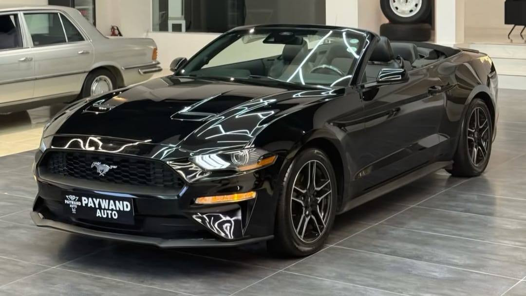 #فرصة_لكل_شاب_اعزب_سعر_تنافسي

#بيع_او_مراوس_سبورتج_توسان_... الخ

فورد موستنك ايكو بوست برميوم 2023

ماشية 53. ميل

مكفولة من الصبغ بيه ضرر جاملغ نصة مصبوغ بدون ايرباك بدون دواخل ليبل واحد

مغلفة PPF من شركة جيوشلد اصلي مو تقليد
سنوية مظللة سنة كاملة

مكانه بغداد منطقة الصليخ

***********

#السعر
