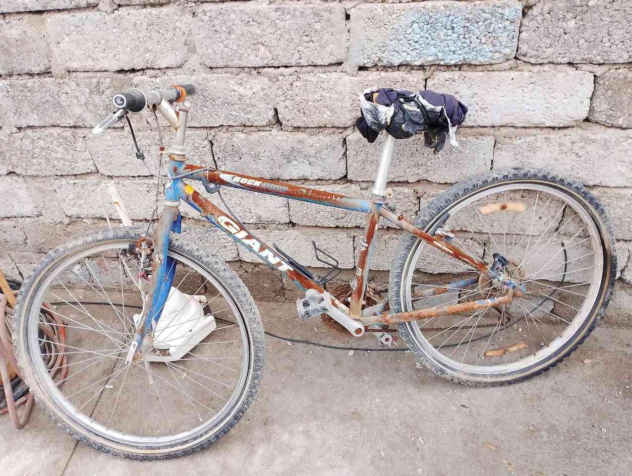 🛑🛑للبيع اغراض متنوعة:
بايسكل مشاكس حجم٢٠ السعر٢٥الف
بايسكل حجم٢٢ بآلة السعر٢٥ الف
بايسكل حجم ٢٦ بآلة السعر٢٥ الف
كمبريسر ٢٥ لتر شغال مع صوندة ١٠ متر السعر ٦٠ الف
ويل سيارةحجم ١٣ نظيف بس التاية تعبانة السعر ١٠ آلاف
تايةبايسكل عدد٢ حجم ٢٤ وحجم٢٦ تايلندي جدد ما مستعملات اثنينهم ب٨٠٠٠ آلاف..
الشاري يتصل ***********
وادي حجر🤚🤚🤚..والسلام عليكم
