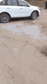 طوريج لعجميه • ١٠٠٠م • سند ٢٥