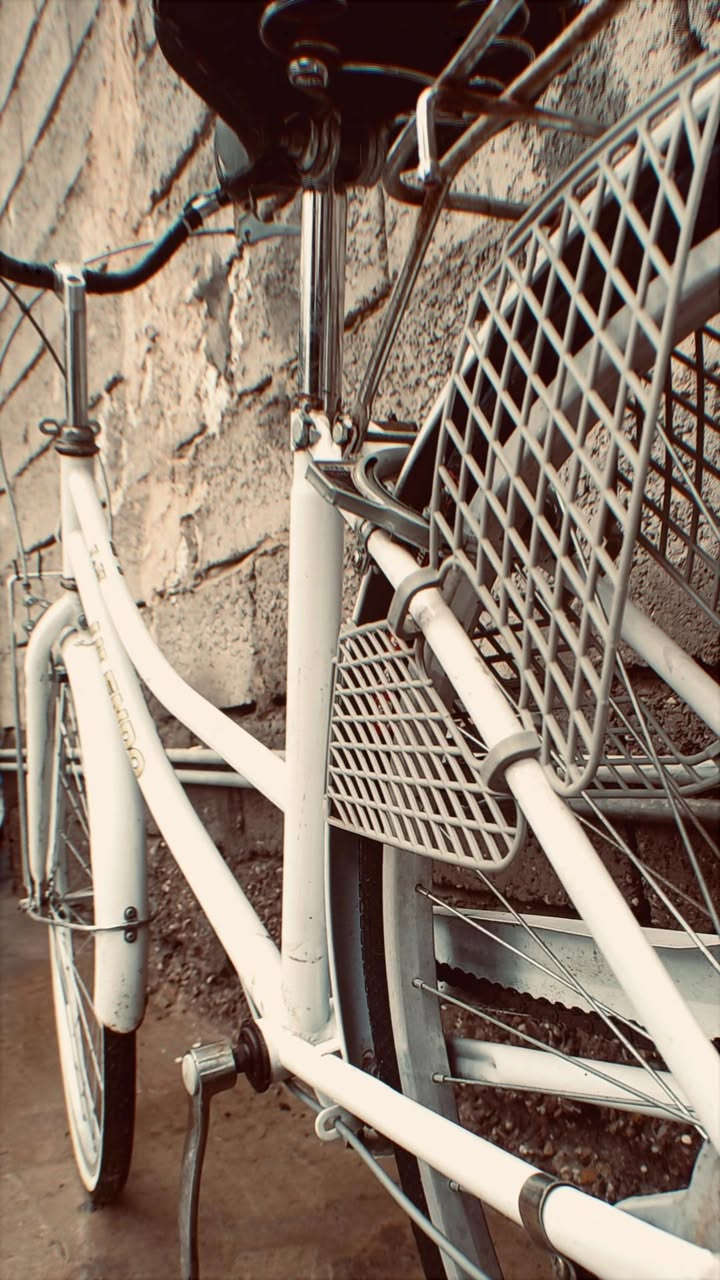 سلام عليكم باسكل نضيف كلشي مابي 👌
لا كو مراوس راوس كون نضافه حلو 💜
مكامك الصويره شارع المطار قرب مدرسه الزهير
حجم 26 👌هاذه رقمي بي واستاب ***********
