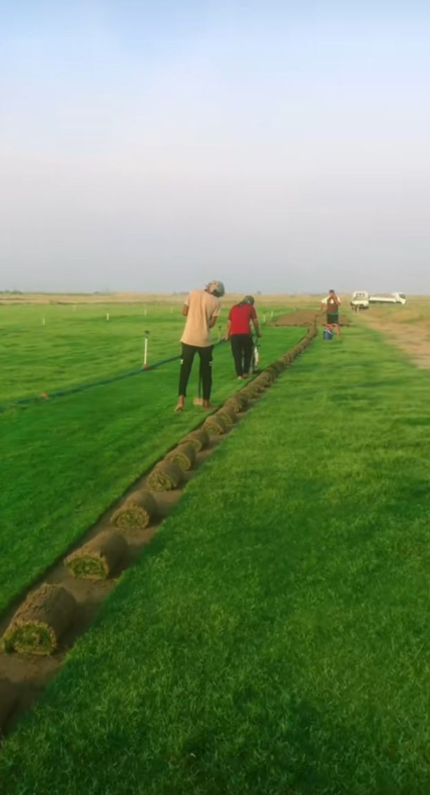 مزارع  الشمال للثيل الطبيعي 🍀
متوفر كافة انواع الثيل 🍀
( امريكي - الهندي - الايطالي - الفرنسي )
لتجهيز... مشاتل🌴
والدوائر حكوميه🏦
منازل🏡 
منتزهات🏄
موجود خدمة توصيل 🚕
لكل محافظات العراق 🚕
للطلب يرجى التواصل مع الصفحة او مراسلة واتساب او الاتصال على :
***********
