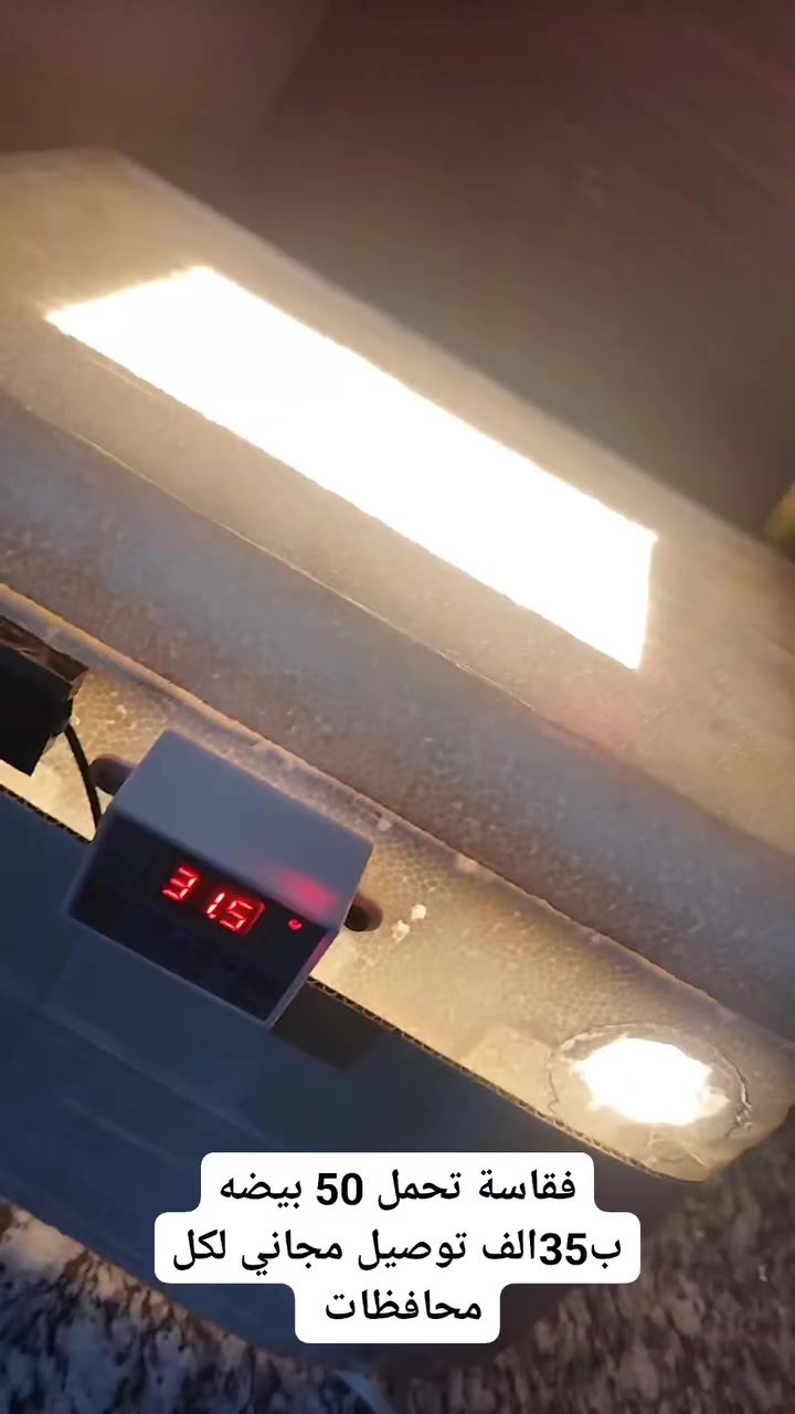 فقاسة 35وتوصيل مجاني لكل محافظات


**إذا كنت صاحب هذا الإعلان وتريد حذفه لأي سبب، رجاءا أرسل رسالة إلى الدعم الفني**