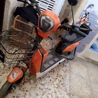 دراجة شحن • بدها عقل وبطاريات • الشعب