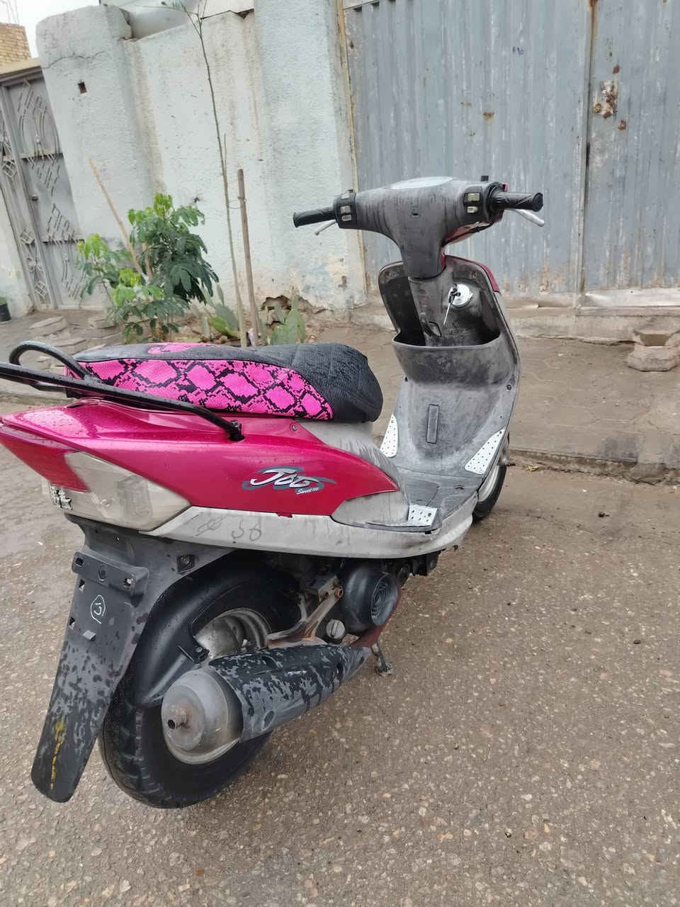 ماكس منغولي للبيع او مراوس بكير 
شلعه معدل 

سلف كهربائيات كله شغال

49 بلاد مكينه خرسه

مكاني نجف حي الوفاء

شراي راسني ودلل


**إذا كنت صاحب هذا الإعلان وتريد حذفه لأي سبب، رجاءا أرسل رسالة إلى الدعم الفني**