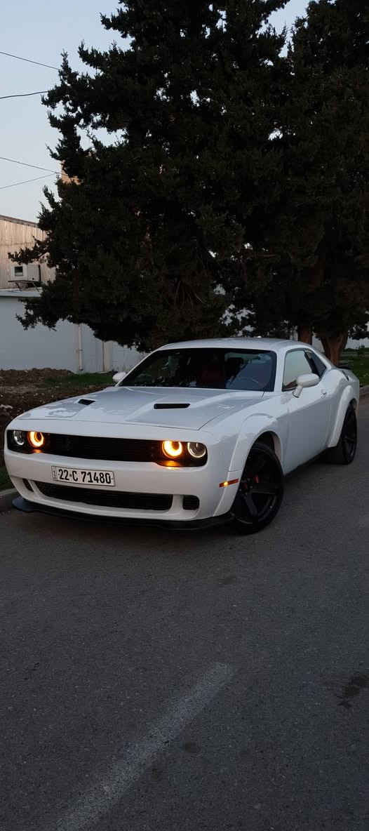 🤍سلام عليكم شباب انشالله الكل بخير🖤
سيارتي للبيع Challenger 2019 V6
السياره مواصفات ال٦ سلندر:
🤍شاشه وسط
🤍كشنات كهرباء جلد احمر
🖤شفتات ستيرن
🤍كامره خلفيه حساس
دكمهSport
🤍لايتات ليد
🖤الاضافات:
🤍جناح Demon
🤍دفيوسرSRT
🖤وياله هيلكات ٢٠
🤍وايدبودي
🤍دعاميهSRT
🖤لحيهSRT
🤍سكف روزرايز
وبعد....
السياره بيه ٣ جملغات وشبر صبغ ثنين خلفي واحد امامي بجم كبس بدون دواخل بدون ارباك فقط تكمه صدر امامي خلفي بانصات منضومه بازنزين دهن هزه سنويه كلشي جديد كير محكر تحويل غرامه شرط مابيه ٢٥٠ مصرف ماشيه ٦٧ الف مكانه سليمانيه وسعره (١٥٨) وبيه مجال و تدللون اسف عل اطاله

🤍🖤🤍🖤🤍🖤🤍🤍🖤🤍🖤🤍🖤🤍🖤
-***********

🖤🤍سلاو هاوريان هيوام باشيتانه🤍🖤
سەیارەکەم بۆ فروشتن Challenger 2019 V6
مواصفاتی ٦پستونە:
🖤شاشە وسط
🤍کوشن کارەبا جلدی سور
🖤کیر سەر سوکان
🤍کامێرە حاسە
🤍٣ جورێ سوکان
SPORTدكمه🖤
🖤لایت لێد
🤍بالێ Demon
🤍دفيوسرSRT
🖤وياله هيلكات ٢٠
🤍وايدبودي
🤍دعاميهSRT
🖤لحيهSRT
🤍سكف روزرايز
زوری تر.....
سەیارەکە ٣ پارچەوپەلەیک بوێاغە ٢ چەمەلەغ پشتەوە دانێکی پێشەوە بێ ناو بی إرباگ تەنها شان هەموو شتێکی تازەیە تاقم پیش رون فێت پەمپ هەزە سەنەوێ ٦٧ هەزار روشتوە شوینێ سلیمانیە نرخی (١٥٨) ومەجال لەخزمەتانام
🤍🖤🖤🤍🖤🤍🖤🤍🖤🤍🖤🤍🖤🖤🤍🤍

☆***********
