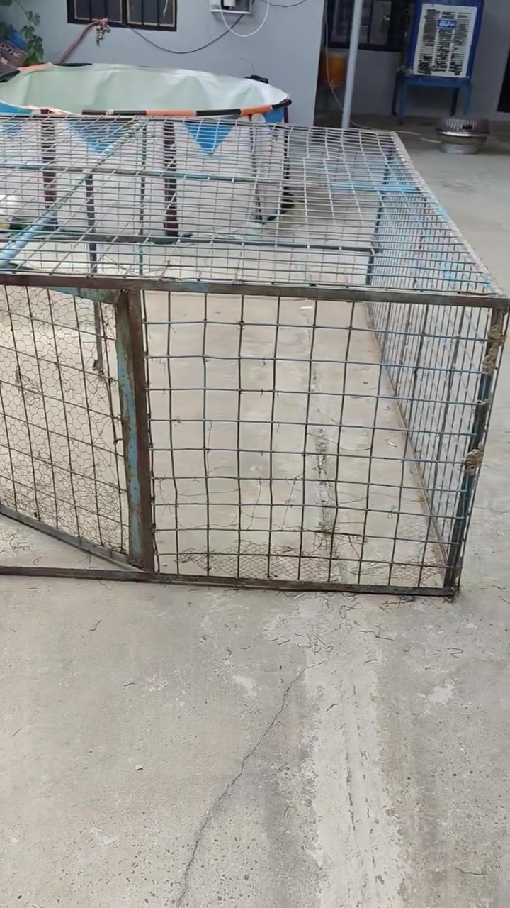 قفص للبيع طول 2.25  وعرض 2.25 ارتفاع 80 اتصال***********
