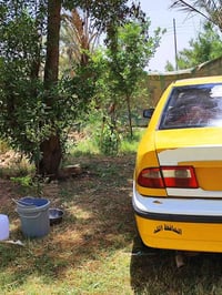 سمند • ٢٠١٢ • بابل