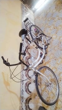 باسكل بناتي • حجم 26 • كوت الحسنيه