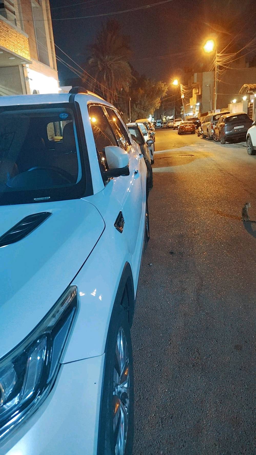 شانجان cs95 2019
مكينه 2000 تيربو

360نيوتن 233 حصان

رقم سلمانيه هزه 2026 باسمي

7 راكب

تبريد 3 قطع ثلج 

مقاعد جلد جوزي 

لايت ابيض لد بلادي عالي ناصي

اوتو هولد نظام التوقف بالازدحام 

زر للتحكم بمستوى اللايت 

كراسي امامي كهرباء 

شاشه تسلا حجم كبير بلاديه 

تراكشن مانع انزلاق

Abs

حساسات امامي خلفي

كامره خلفيه

مري شفط وهيتر

تحكم مري ماوس

بانوراما

ويل كب كروم

كرور سرعه 

4 انضمه قياده

Sport

Comfort

Snow

Eco

كير اي تي 6 نمر 

صندوق كهرباء 

سايد بريك كهرباء

جاماتهة كلهن اوتو 

السياره صدرهة جديد 

وجامه اماميه جديده 

تخم دسكات 
 ماشيه سياره 121
مكفولة من ضربة وصبغ

سياره خير من الله استعمال قليل 
مكان السيارة
بغداد
147 بيهة مجال 
للتواصل ***********