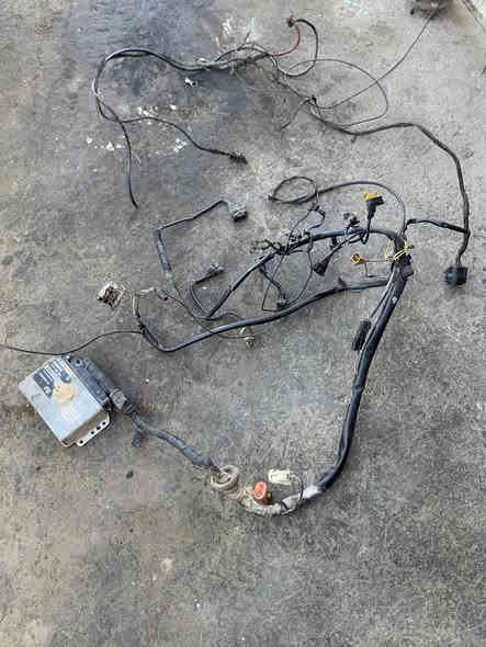 غراض  اوبل. اومكة. مكاني ديالى بعقوبة  شنو تحتاج غراض تدلل. عندي توصيل إلى اي محافضة *********** اكسلات خشن ناعم. طبلات صدر دبلات
