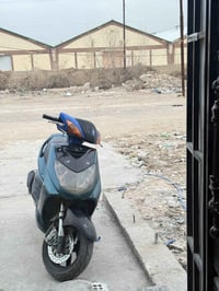 سكنس فحل • كوري • مشكلة سلف