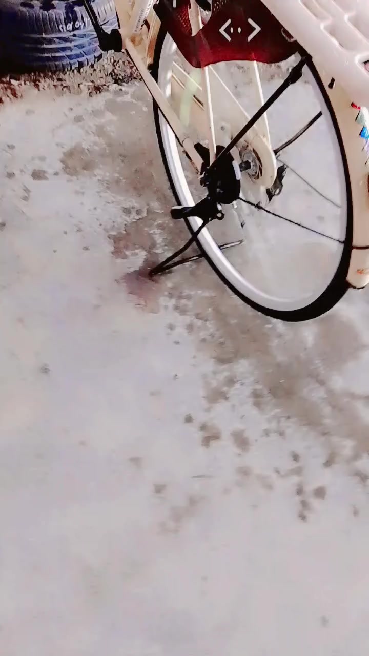 سلام عليكم بايسكل بطه ياباني 🎌
 مديل 22 شركة BD درجة 1 المرغوبة بسوك. 🎌
الدسك 90ابو الصفارة.🎌
البايسكل من كرار ابو النقش ماخذة قبل شهر🎌 
لون البايسكل بيجي بوريتة الضعيفة مو النفخ 🎌
المكان كوفة شارع المطار القديم🎌
السعر 140 وبي مجال للشراي


**إذا كنت صاحب هذا الإعلان وتريد حذفه لأي سبب، رجاءا أرسل رسالة إلى الدعم الفني**