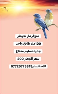 بدايه حي الاطارات • ١٠٠م • ايجار