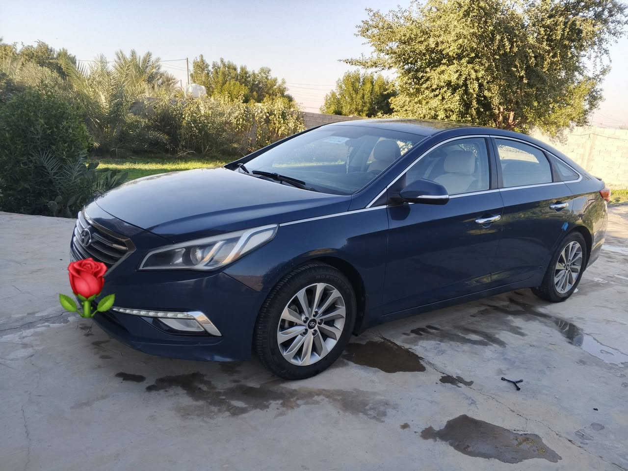 لبيع سوناتة خليجي موديل 2017.. خليجي مكفولة كفالة عامة... عدة شبر صبغ بل جاملغ امامي فقط..  سيارة فول مواصفات...  لمتدد.. دبل صالنصة... رقم اربيل الجديد........ رقم صاحب سيارة..... ***********...... سعر 145...
