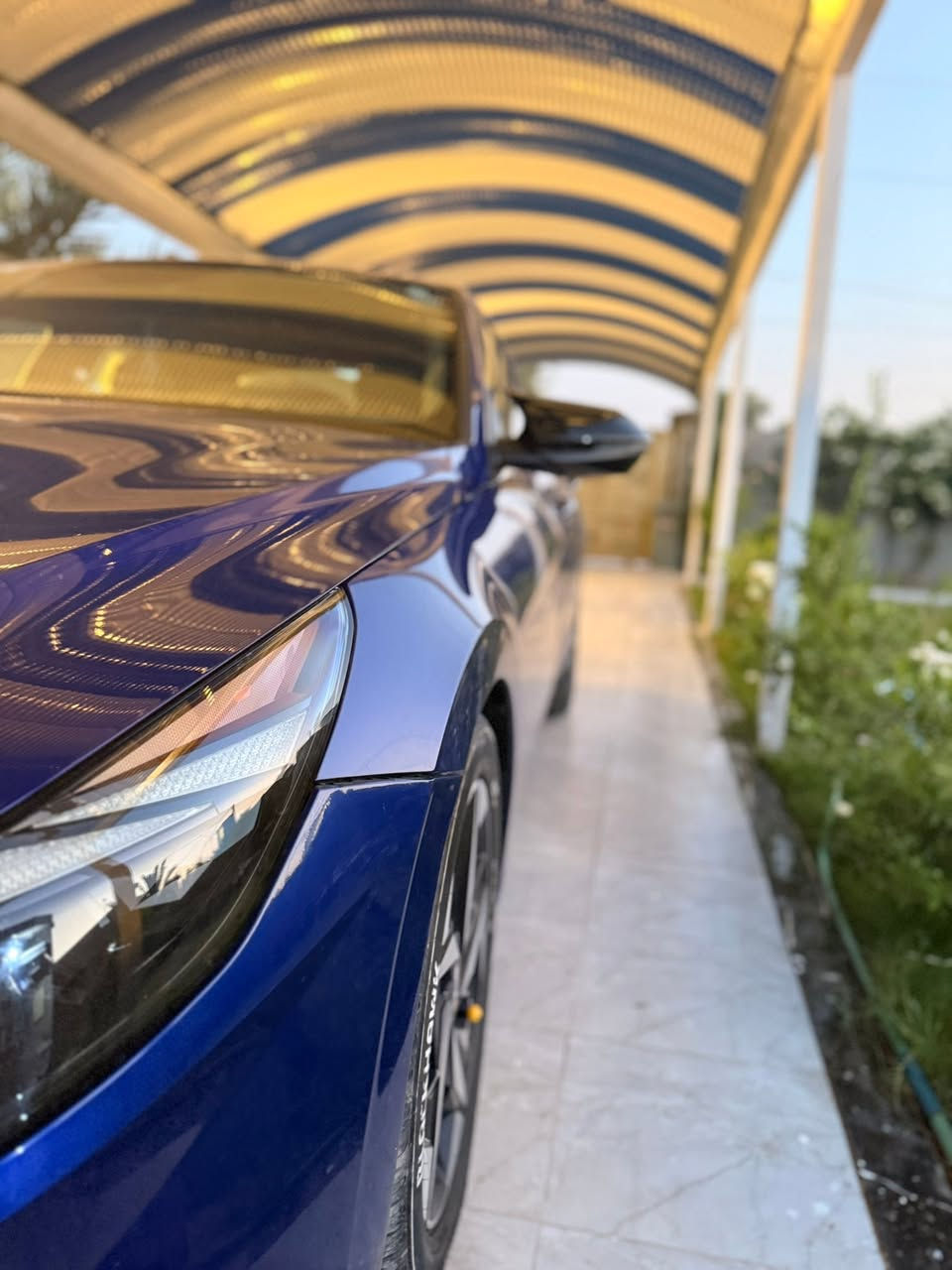السلام عليكم بيع او مراوس
النترا موديل2021 ليمتد فول مواصفات

وارد امريكي 

الحادث / ضرر سطحي بدون ايرباك وبدون دواخل

المواصفات ...

فتحه سقف اسلايت 

بصمتين تشغيل 

بصمه ابواب لمس

تشغيل عن بعد 

رادار أمامي 

لد داخلي بلدشبول 12 لون ابلادي

كشنات جلد لونين +تدفئة

كشنات كهرباء

رادار امامي 

رادار خلفي 

رادار جانبي 

حساس خلفي بلدعاميه 

اشاره بلمري

لايت زنون 3 عدسات ابلادي

تحديد مسار 

مثبت سرعه 

وقوف ذاتي 

مانع اصتدام

سياقه ذاتيه اوتو 

شاشه ثلاث انظمه 

شاشه دجيتل ايباد متصله 

كامرا خلفيه دواره

محرك 2000 دوش

هاند بريك بصمه 

بك لايت لد متصل 

ماشيه81 الف 

مكان السياره ديالى بعقوبة

للاستفسار***********
