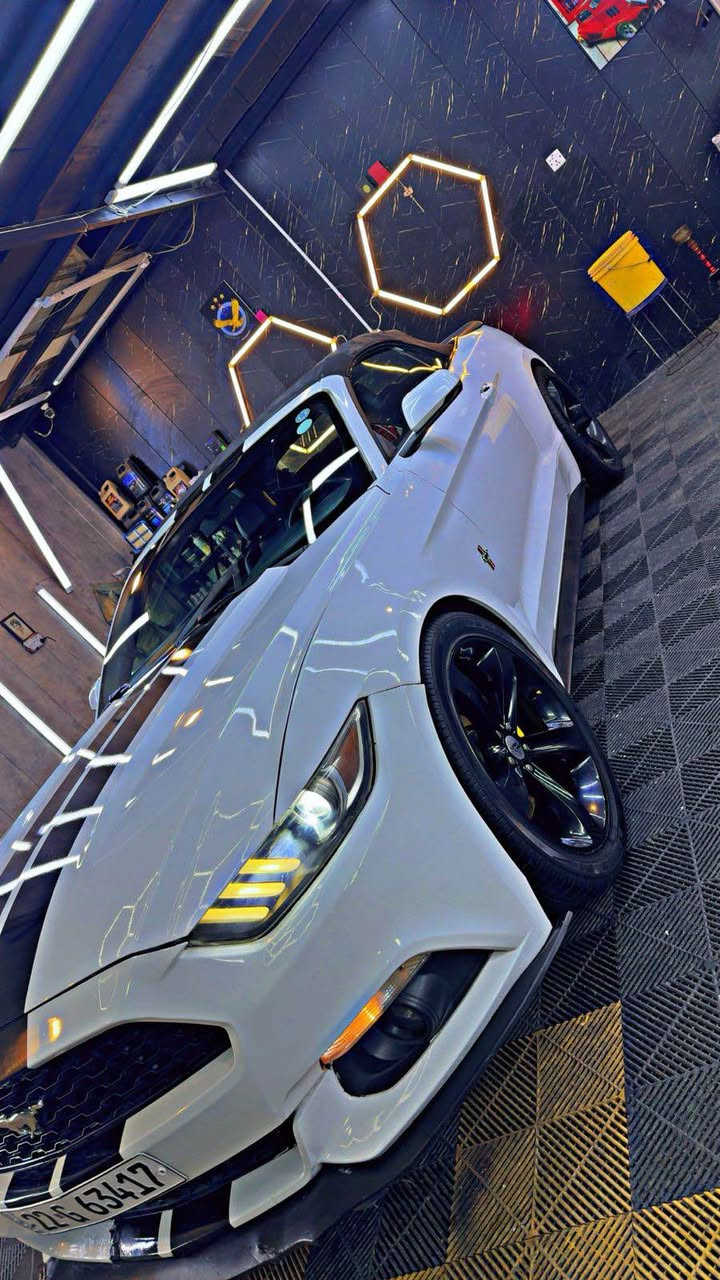 حبايب فورد موستنگ ايكو بوست بريميوم 2016 كشف فول ونسة رقم اربيل حادثهة وضح بلصور وسونارهة موجود مكانهة بغداد سعرهة 120 بيهة محرك كايم تبدل محرك السيارة حلوة بس محرك يرادلهة بغداد, العراق


**إذا كنت صاحب هذا الإعلان وتريد حذفه لأي سبب، رجاءا أرسل رسالة إلى الدعم الفني**