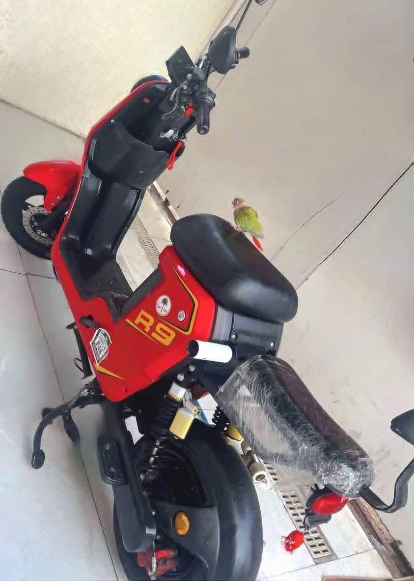 السلام عليكم دراجه r9موديل25جديده فول بطاريات جدد 16امبير الدراجه كفالة العنوان البصره ابو الخصيب للتواصل واتساب هذا رقمي ***********
