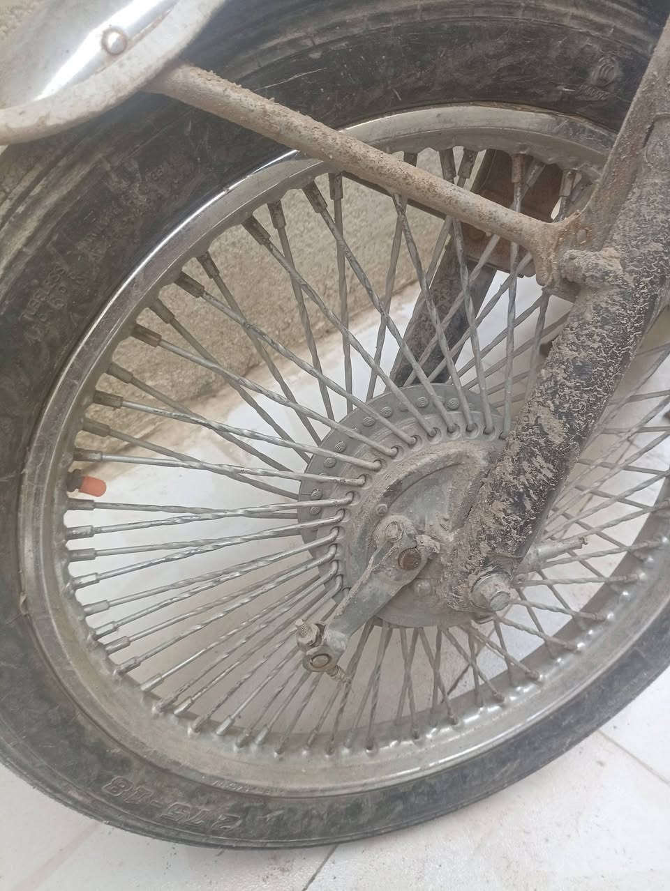 زوج وياله اصليات زوجهن 30 وبيهن مجال مكاني ناصريه فداء رقمي ***********
