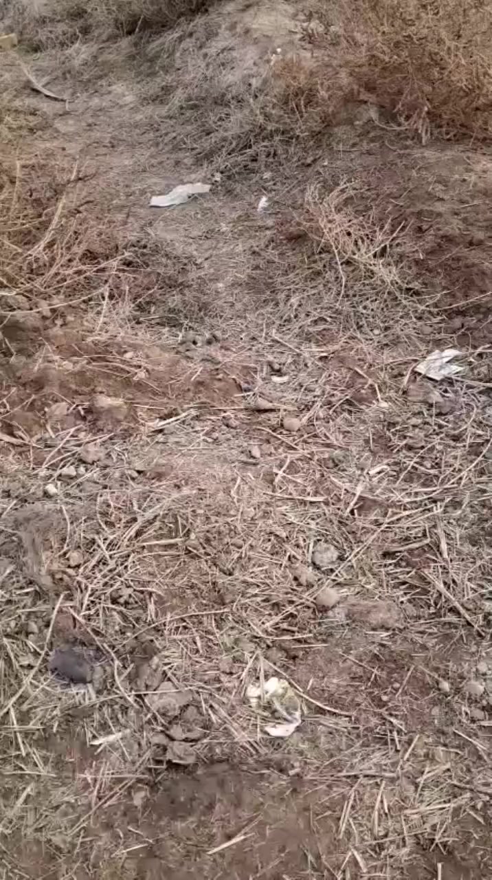 السلام عليكم خمس دوانم  سند 25 للبيع المدائن الجعاره مقابل جامع سيد علي تبعد عن شارع العام 500 متر  رقم الهاتف ***********
