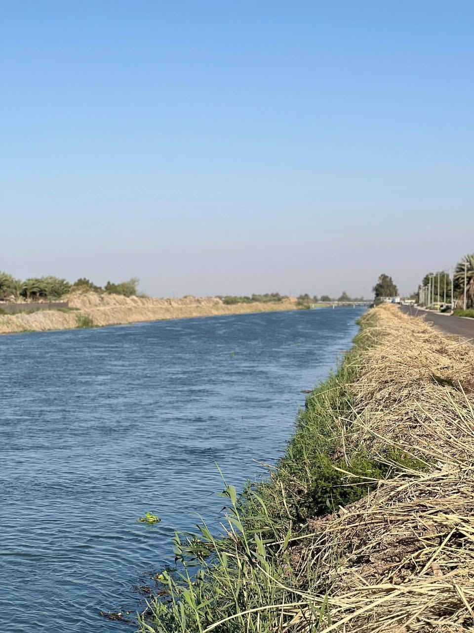 سلام عليكم مزرعه للبيع طابو سند 25 
ديوانية ،دغاره 
مساحت المزرعه 12 دونم ونص 
خدمات كامله ماء+تبلط+ كهرباء ثري فيز المزرعه مقابيل الشط 
واجهيت المزرعه 103 متر 
المزرعه على طريق زوار الامام الحسين 
يمكن بناء محلات ول ستفاده من واجهيت المزرعه لان على شارع 
محتويت المزرعه بيت مبني ب 2021
عدد العرف 3 وحده من لغرف سويت 
مساحت لغرف 4×6
صاله طولها 9 متر وعرضها 4 ونص 
ستقبل ومطبخ مساحتهن 4×6
مزرعه عنب وتين لشجار مثمره عدد لكلي من 400 الى 450 سجره بين عنب وتين 
ومزروعه نخيل جديد الوان هم يتراوح بين 20 الى 25 نخله وبيها نخل زاهيد عدد 30
وبيها نبك مطعم هم منتج عددهن 13

رقم صاحب المزرعة 
***********
