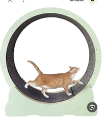 لعبة قطط • زينة للبيت