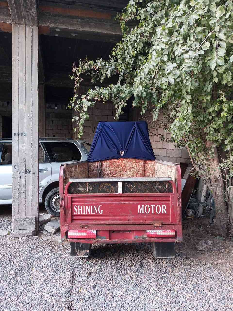 سلام عليكم فحل عالي اوراق كمله موديل 23 للبيع الستفسار ***********الموشراي رجان لا خابرني ستوته كلها شرط مال جناي
