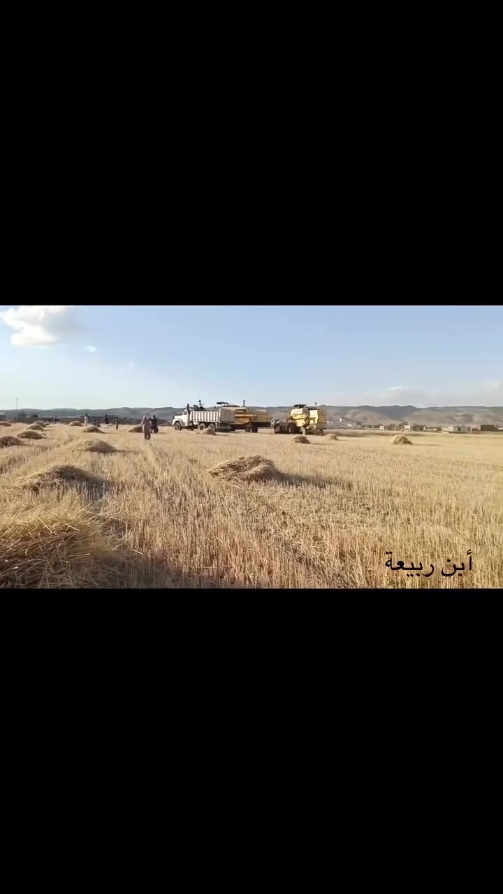 #بدون ضمان بلاش


**إذا كنت صاحب هذا الإعلان وتريد حذفه لأي سبب، رجاءا أرسل رسالة إلى الدعم الفني**