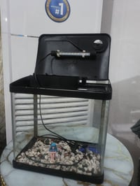 حوض • إضاءة • بغداد