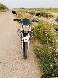 بلاديه • ستوته • للبيع
