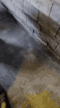 سلام عليكم دراجة فراشة فضائي 140 للبيع السعر 200 بيها مجال قليل
شغاله سلف وهندر 
مكينه حلوة مجفته ناعمه 
نقصها بس باتري وكفرات 
متواجد فقط واتساب ورصيد 
مكاني بغداد شارع فلسطين
رقم تواصل 
***********
