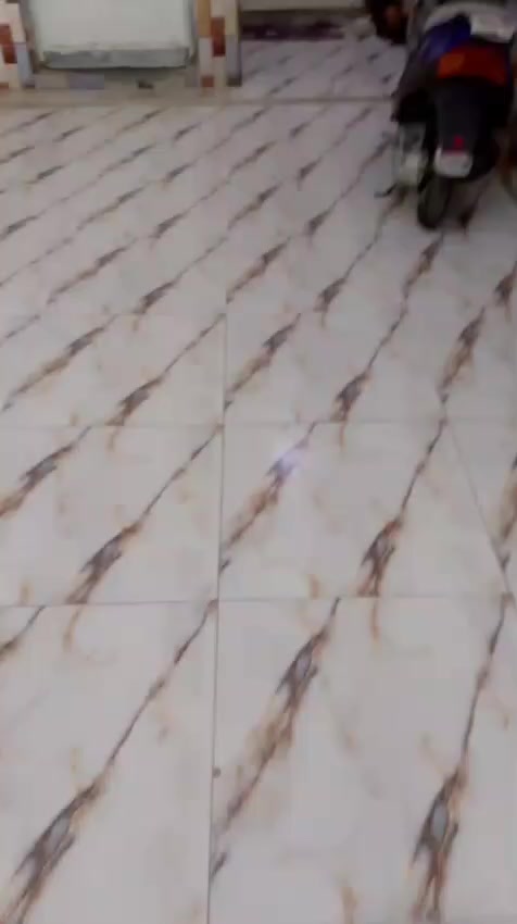 بيت للبيع المساحه164متر الموقع البصره شط العرب الجزيره منطقه الفيروزيه. يحتوي البيت على غرفتين منام وصاله وصحيات الاستفسار***********
