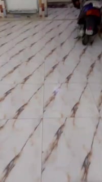 البصرة الفيروزية • ١٦٤م • غرفتين