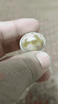 للبيع
سليماني دهن ودبس ..
المكان بغداد لايوجد توصيل
 ***********
