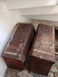 بۆفرۆشتن چاملخ بلادی عنتر  مەزبوت  ژم07824637752 ژم07504637752