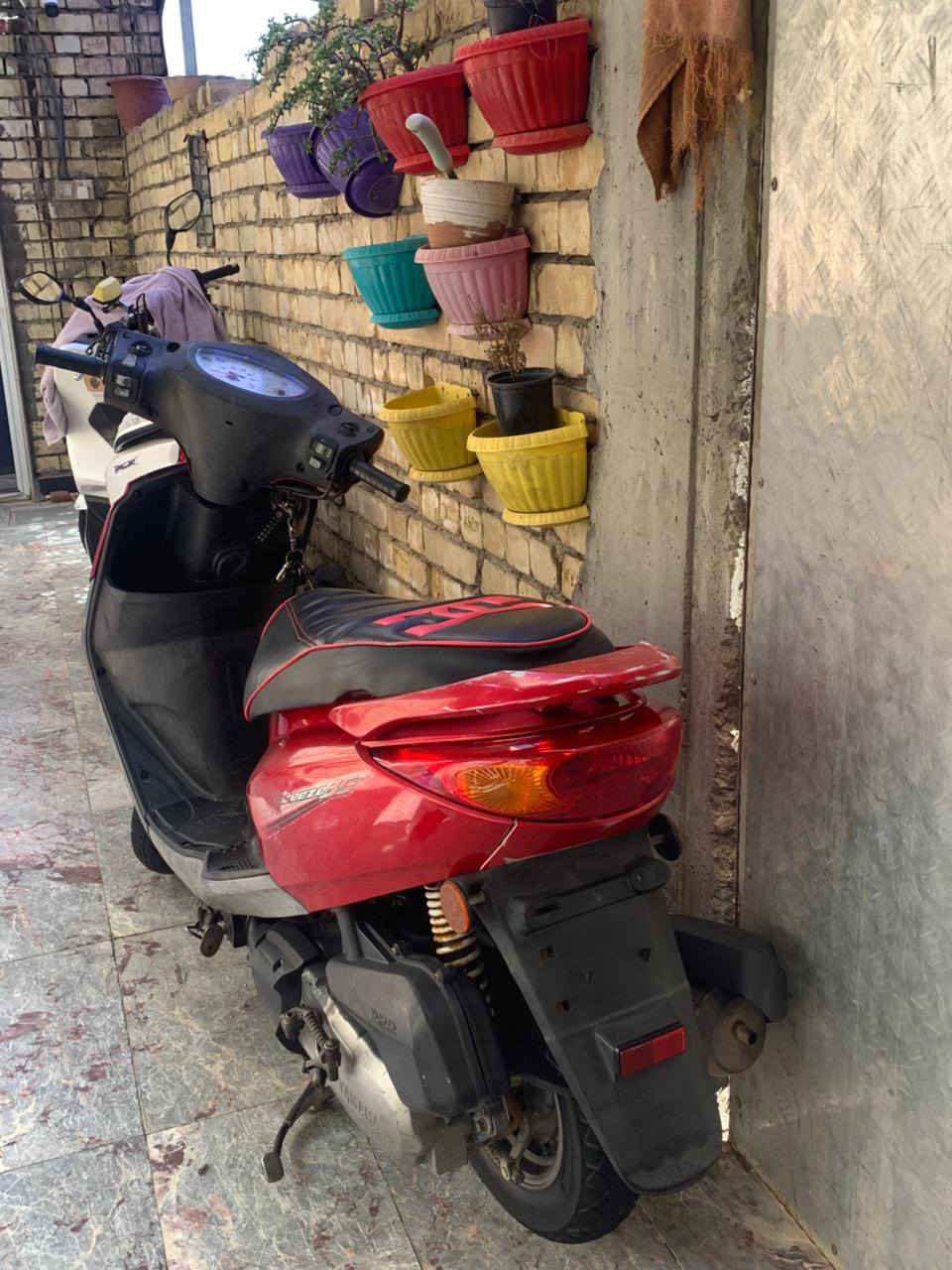 السلام عليكم درجة للبيع بريز ببغاء ياباني مال رمبه درجة نضيفه سعر مليون و١٥٠ مكان الشعب ***********
