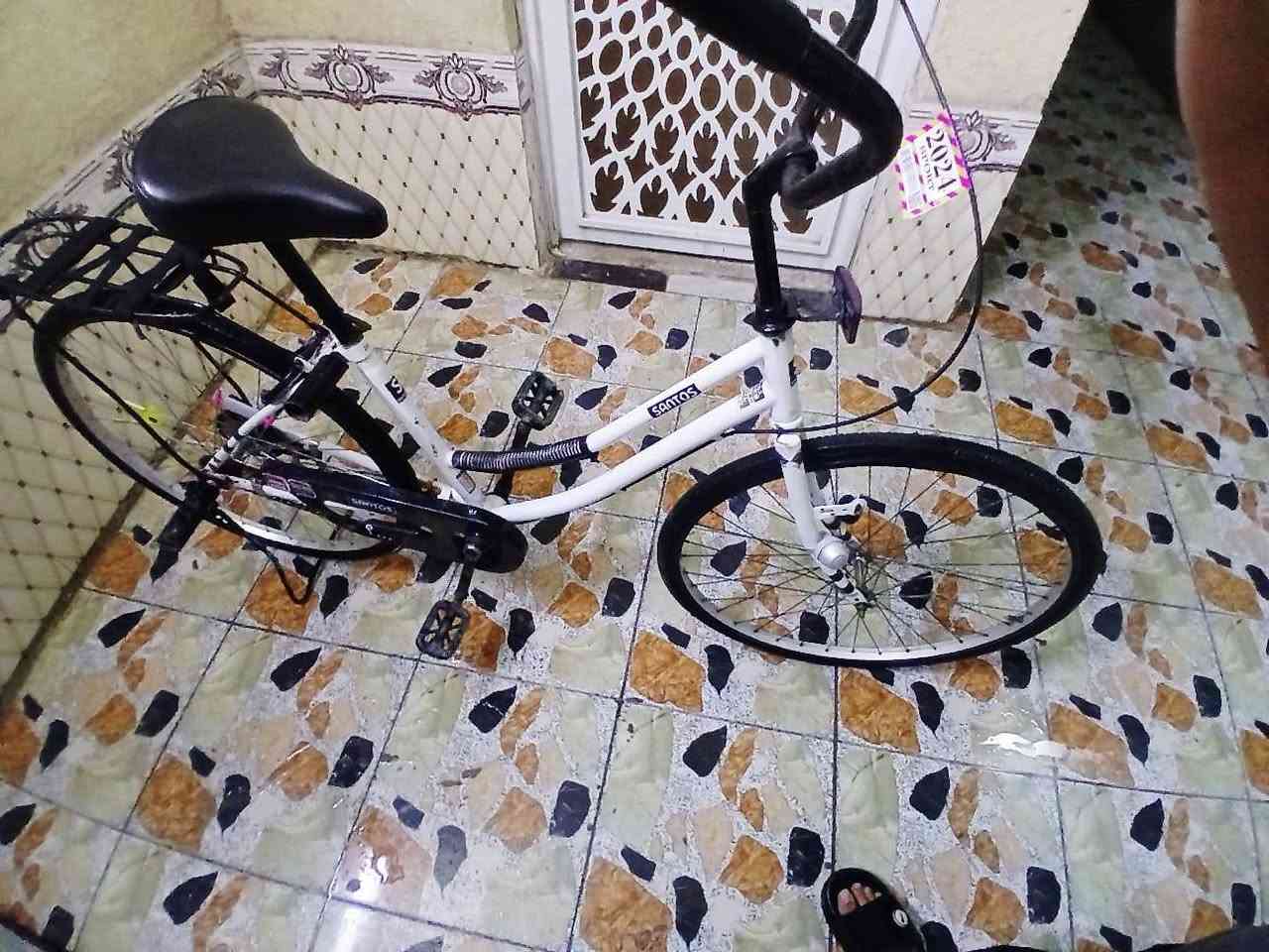 السلام عليكم باسكل لل البيع حجم 26 سانتوس بدون جاملقات الباسكل نضيف انضف من الصوره الله شاهد السعر 85 وبي مجال المكان ناصريه مركز تجي وشوف الباسكل بعينك التواصل ويه هاذا الرقم ***********
