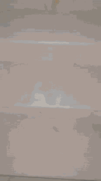 السلام عليكم ..

3محلات وشقه للبيع  المساحه 60متر مربع واجهة6.20نزال 9.70 في زراعي الملحانيه على الشارع الرئيسي خدمات كاملة للأستفسار على الرقم ***********
