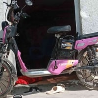 دراجه شحن • بطاريه كبيره • سلة تحمل شخصين