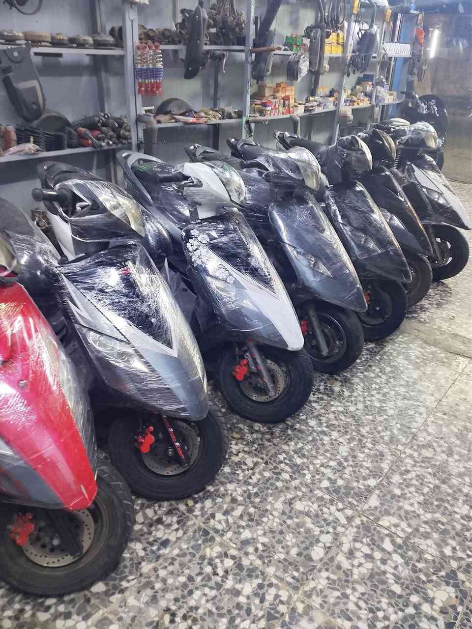 ماكس ثعلب رنبة شرط
بيع شلع عدد 10 تواصل ***********
