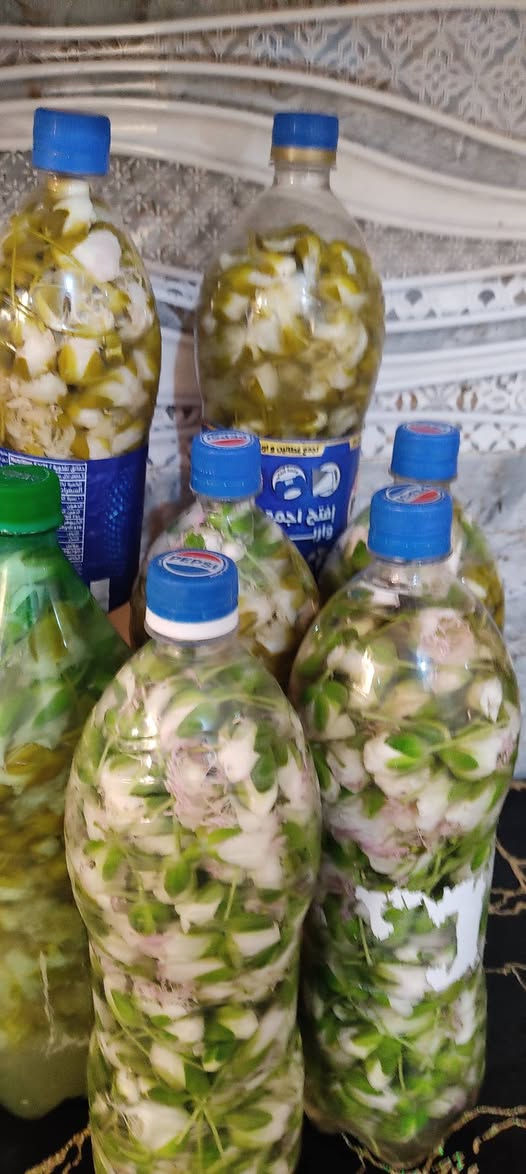 السلام عليكم شوف اخي شوفي اختي الورد الكبر الجديد مال البارحة ومال اليوم يوجد كيلوات ويوجد مچبوسى واكو مستوي جاهز للاكل نضيف وجديد وجيد وطعم طيب أن شاءالله للبيع 
للحجز والاستفسار الاتصال بنا على الرقم التالي ./***********/وشكرا
