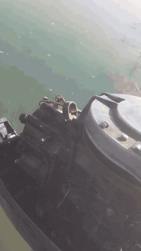 بلم ومكينه اربعين ساسوكي للبيع مفتوح بس محرك ابيع مفتوح كير ومحرك نشاط صلاه على محمد فول  سعر 1650 
***********
