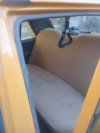 موديل ١٥ ٢٠ • باسمي • مصفرة