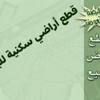 طابو زراعي • الحمزة الغربي • ٢٠٠م