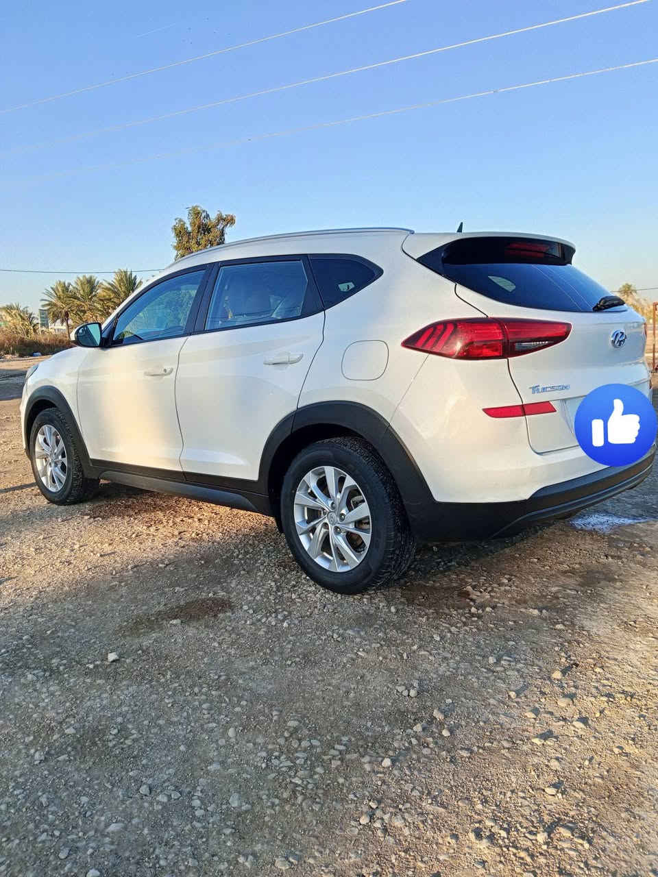 توكسان الكاصد 19 أمريكي فول مواصفات رقم واسط انكليزي حادثه بنيد او خشم جملغ الامامي بارد فقط سياره حلوه و جديده مال جناي ماشيه 100 مكينه مكفوله من بخار من تنقيص عل شركه ... رقم الهاتف *********** اوتساب موجود راسلني دزلك صور الحادث  مكان بابل .. سعر 165 او بيه مجال لشراي
