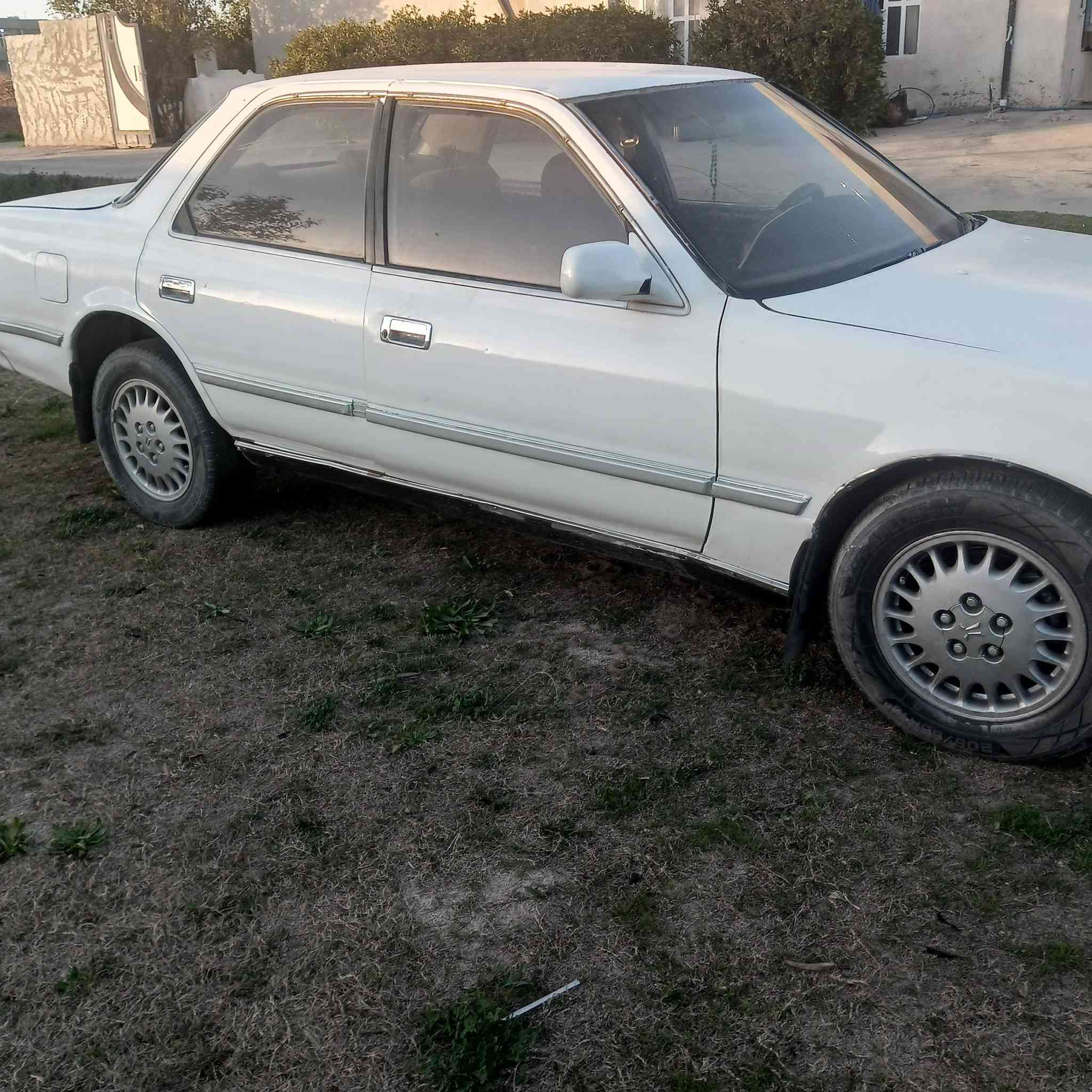 كرستا رقم صلاح الدين مشروع وطني داخلها نضيف كشرها نضيف سياره مرتبه محرك بطه صدرها  السعر ٣٠ بيها مجال  ***********
