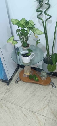طبلة مفردة • جميلة • سعر مناسب