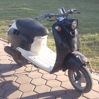 دراجة مصرية • ستين • الكوت الجديدة