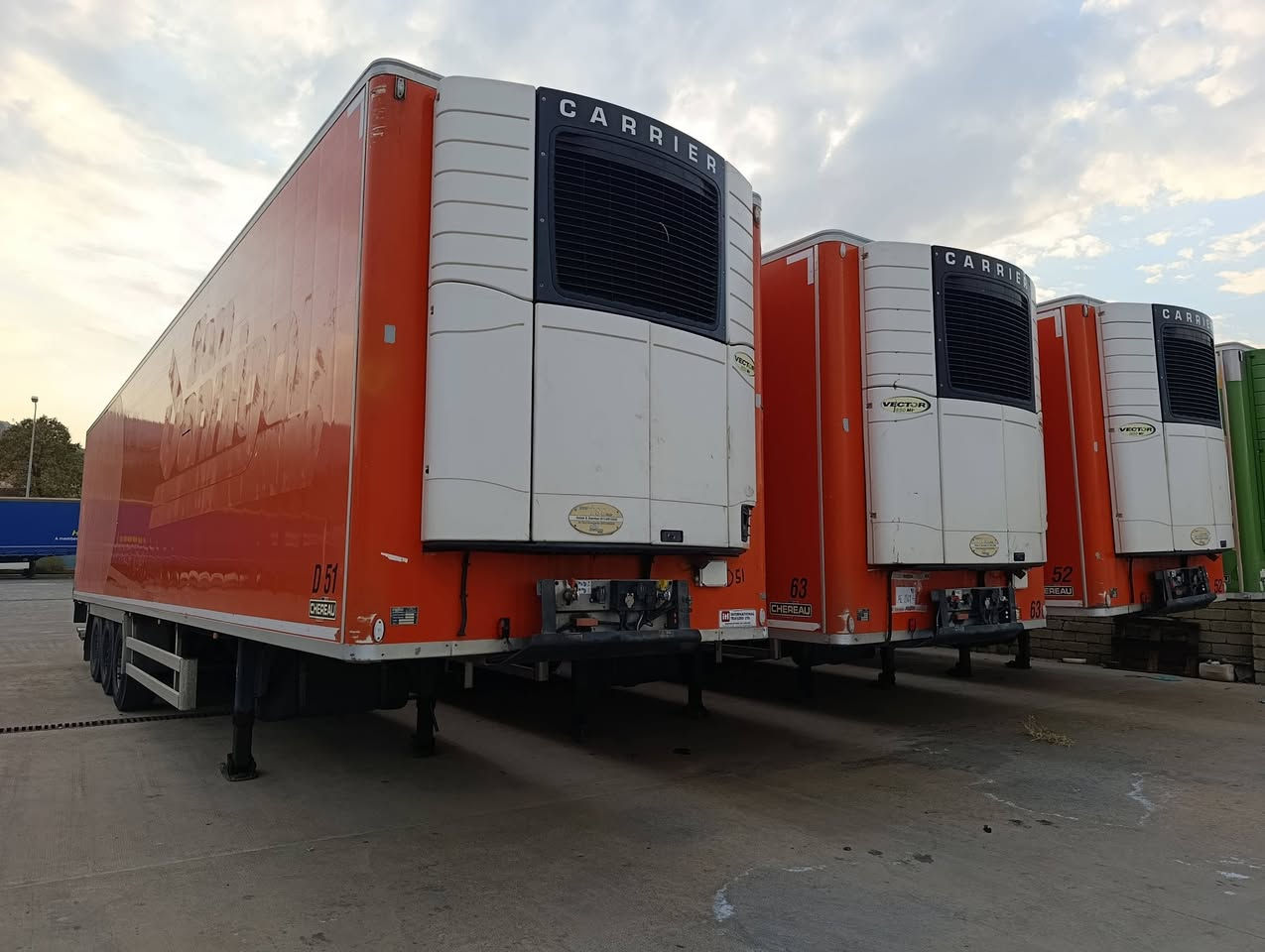 شيروات 2012منفيس سمك سبعه ارتفاع 60كاعيه جكرد دنكير تعليك عنوان بعقوبه سعر 215 تليفون ***********
