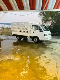 موديل 16 • مكفوله • كفاله عامه